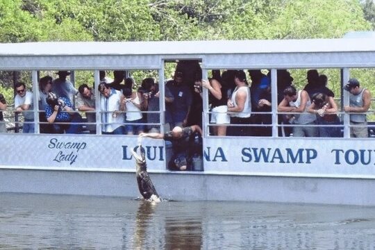 Afternoon Oak Alley Plantation and Swamp Boat Tour from New Orleans